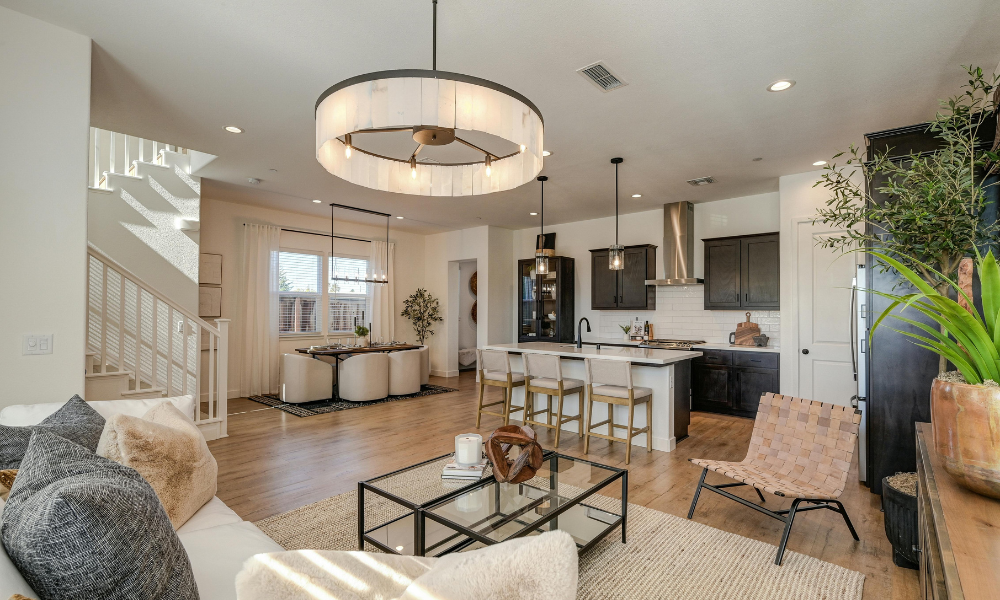 professional home design